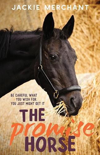 Cover image for The Promise Horse
