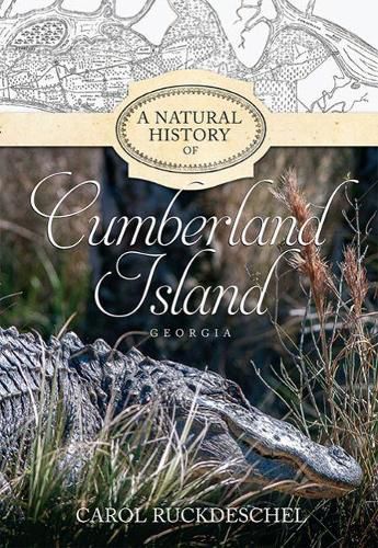Cover image for A Natural History of Cumberland Island, Georgia