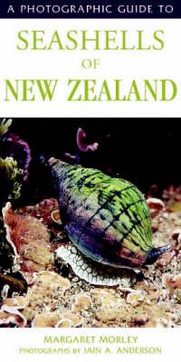 Cover image for Photographic Guide To Seashells Of New Zealand