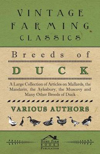 Cover image for Breeds of Duck - A Large Collection of Articles on Mallards, the Mandarin, the Aylesbury, the Muscovy and Many Other Breeds of Duck
