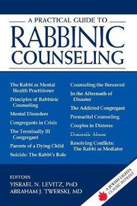 Cover image for A Practical Guide to Rabbinic Counseling: A Jewish Lights Classic Reprint