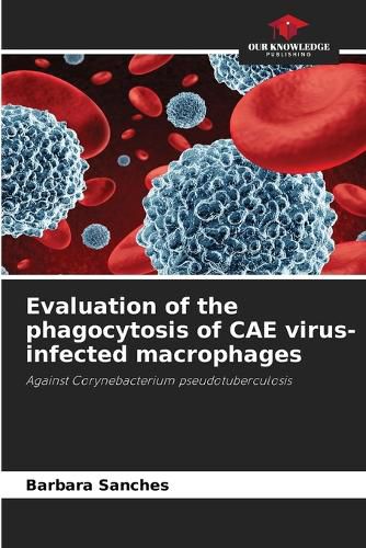 Cover image for Evaluation of the phagocytosis of CAE virus-infected macrophages