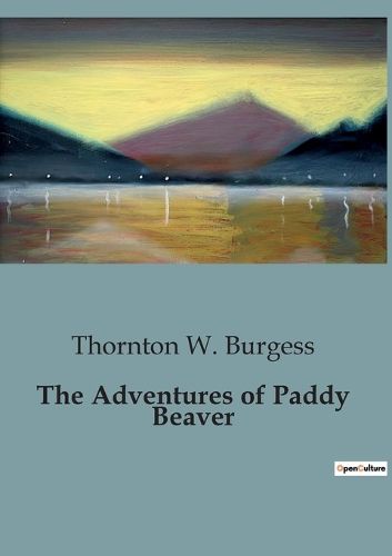 Cover image for The Adventures of Paddy Beaver