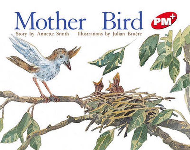 Mother Bird