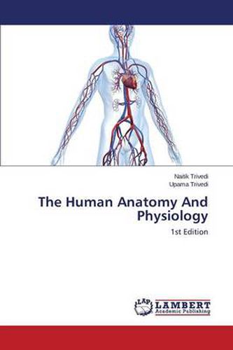 Cover image for The Human Anatomy And Physiology