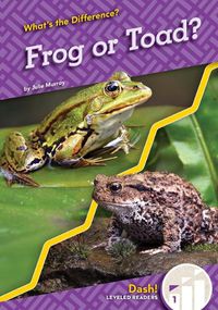 Cover image for Frog or Toad?