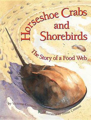 Cover image for Horseshoe Crabs & Shorebirds: The Story of a Food Web