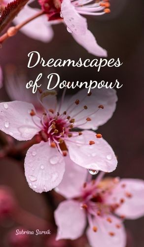 Cover image for Dreamscapes of Downpour
