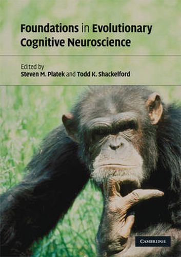 Cover image for Foundations in Evolutionary Cognitive Neuroscience