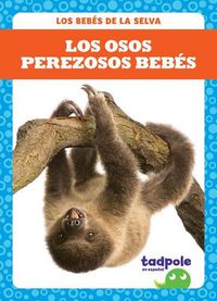 Cover image for Los Osos Perezosos Bebes (Sloth Babies)