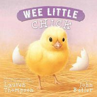 Cover image for Wee Little Chick