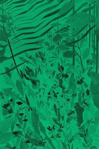 Cover image for David Eisl: Green Screen Weeds and Dreaming Grids