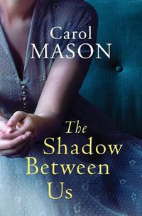 Cover image for The Shadow Between Us