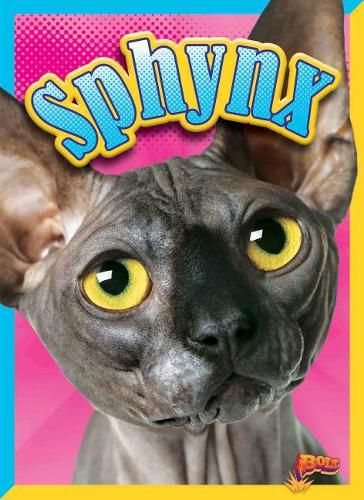 Cover image for Sphynx