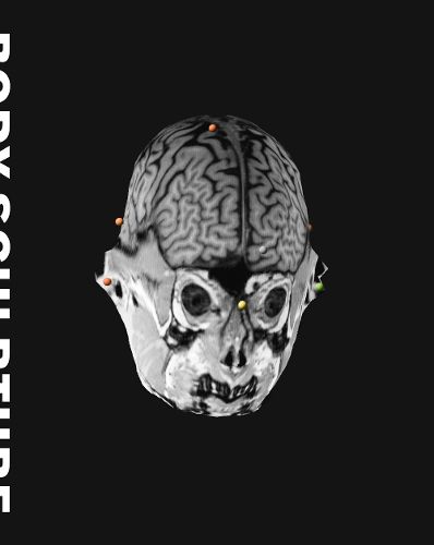 Cover image for Body Sculpture