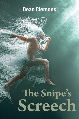 Cover image for The Snipe's Screech