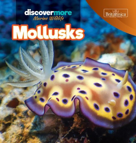 Cover image for Mollusks