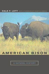 Cover image for American Bison: A Natural History