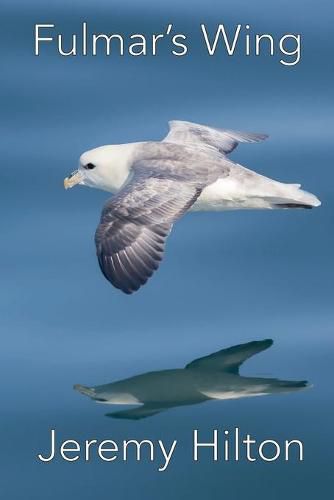 Cover image for Fulmar's Wing