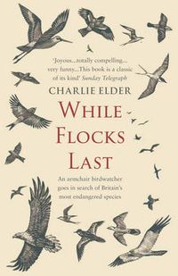 Cover image for While Flocks Last