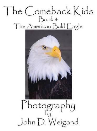 Cover image for The Comeback Kids, Book 4, the American Bald Eagle