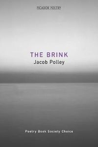 Cover image for The Brink