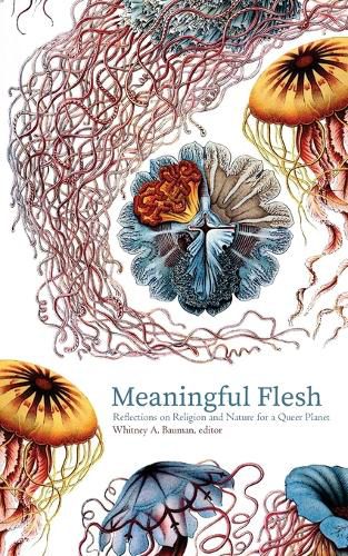 Cover image for Meaningful Flesh: Reflections on Religion and Nature for a Queer Planet