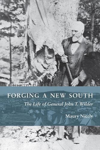 Cover image for Forging a New South