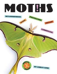 Cover image for Moths