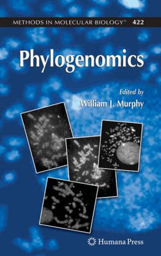 Cover image for Phylogenomics