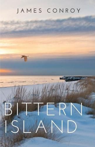 Cover image for Bittern Island