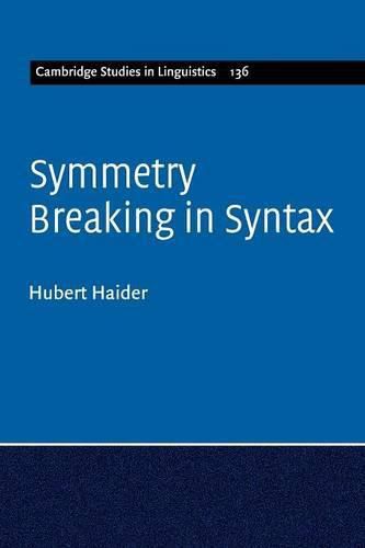 Cover image for Symmetry Breaking in Syntax