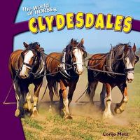 Cover image for Clydesdales