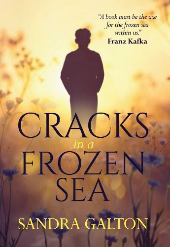 Cover image for Cracks in a Frozen Sea