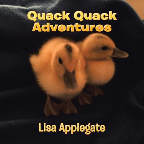 Cover image for Quack Quack Adventures