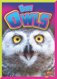 Cover image for Baby Owls