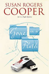 Cover image for Gone in a Flash