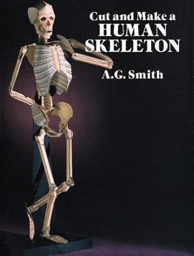 Cover image for Cut and Make a Human Skeleton