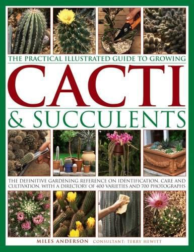 Cover image for Practical Illustrated Guide to Growing Cacti & Succulents