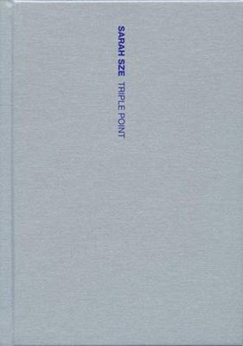 Cover image for Sarah Sze - Triple Point