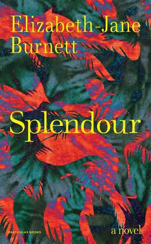 Cover image for Splendour
