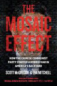 Cover image for The Mosaic Effect