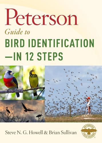 Cover image for Peterson Guide To Bird Identification?coein 12 Steps