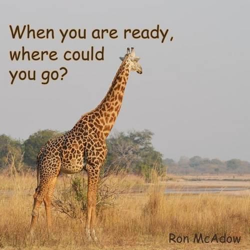 Cover image for When you are ready, where could you go?