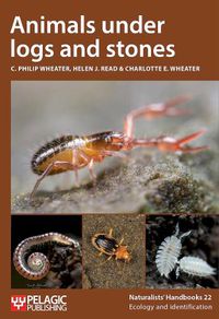 Cover image for Animals under logs and stones