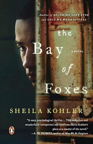 Cover image for The Bay of Foxes: A Novel