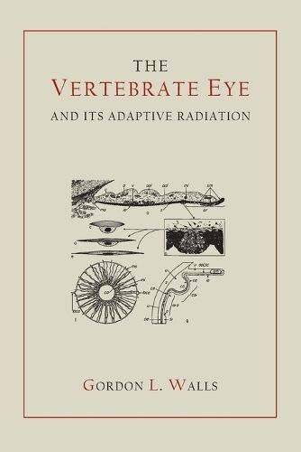 Cover image for The Vertebrate Eye and Its Adaptive Radiation