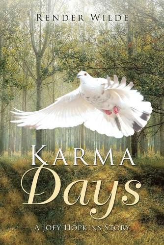 Cover image for Karma Days: A Joey Hopkins Story: A Joey Hopkins Story