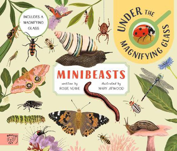 Cover image for Minibeasts: Under the Magnifying Glass