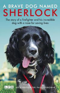 Cover image for A Brave Dog Named Sherlock